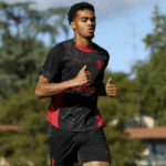 ac-milan-datangkan-bek-hebat-odogu